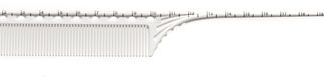 Y.S. Park Guide Comb G01 WHITE