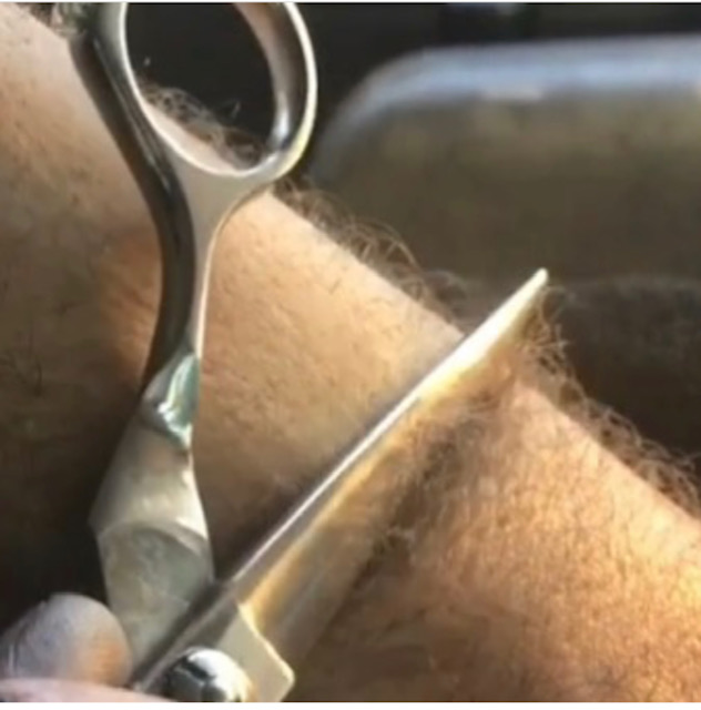 Sharpening Barber Scissors 