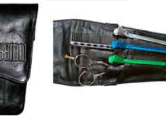 ShearIntegrity 4 Shear Triangle Holster