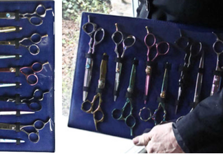 ShearIntegrity 10 Scissor Display Case