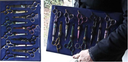 ShearIntegrity 10 Scissor Display Case